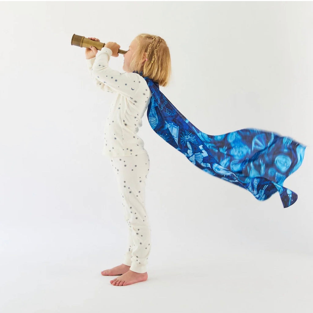 What We See in the Stars Seek & Find Playsilk
