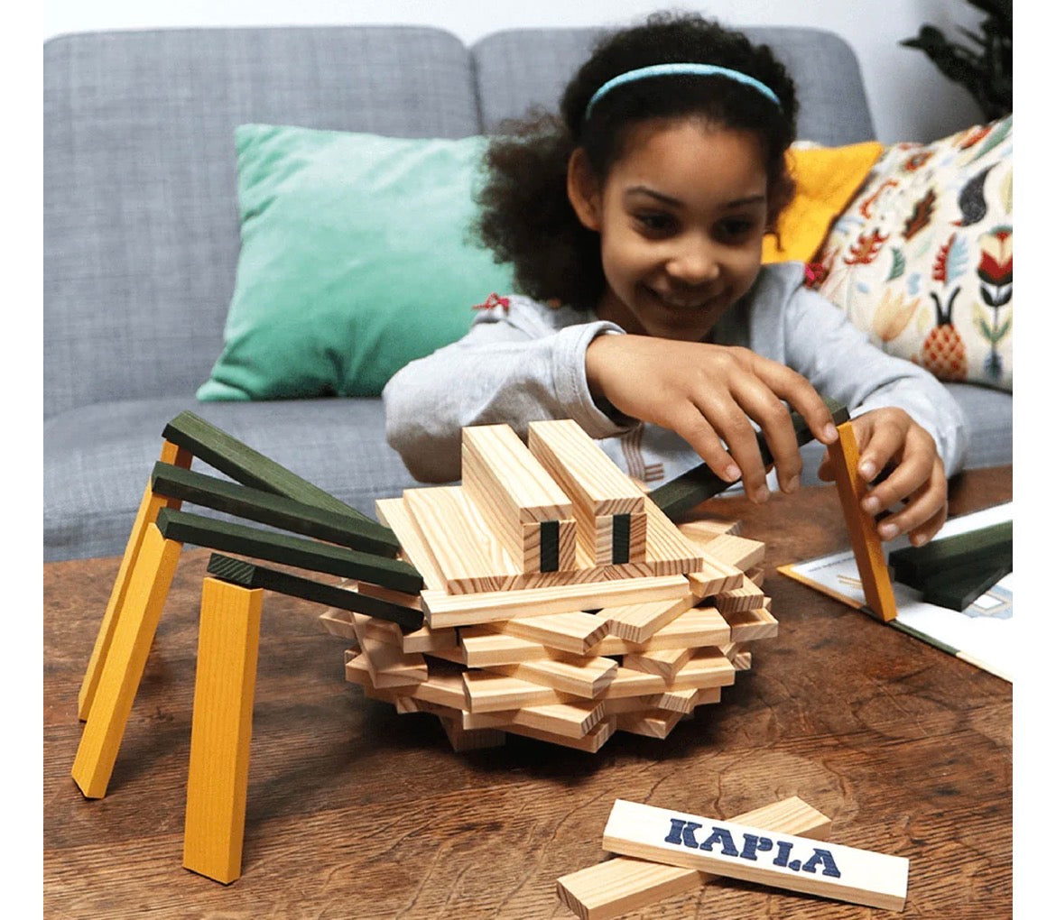 Kapla 75 Piece Spider Case