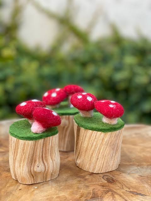 Papoose Toadstool Trunk