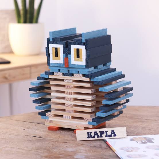 Kapla 120 Piece Owl Case