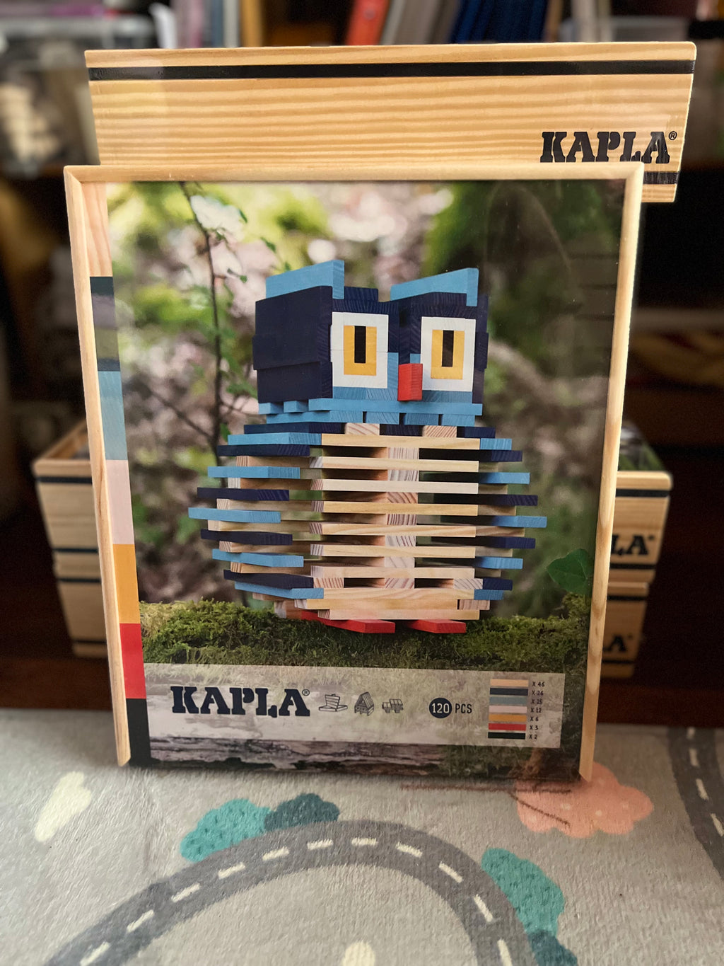 Kapla 120 Piece Owl Case