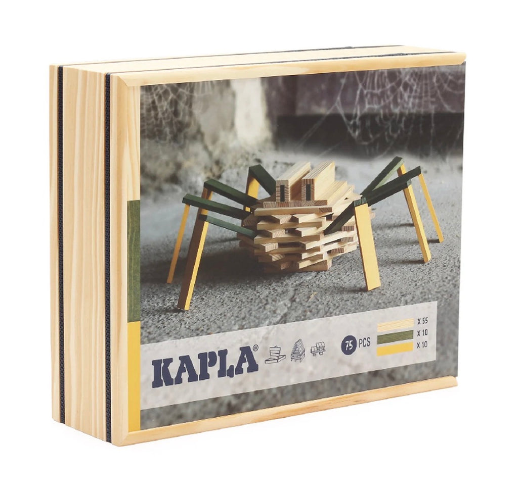 Kapla 75 Piece Spider Case