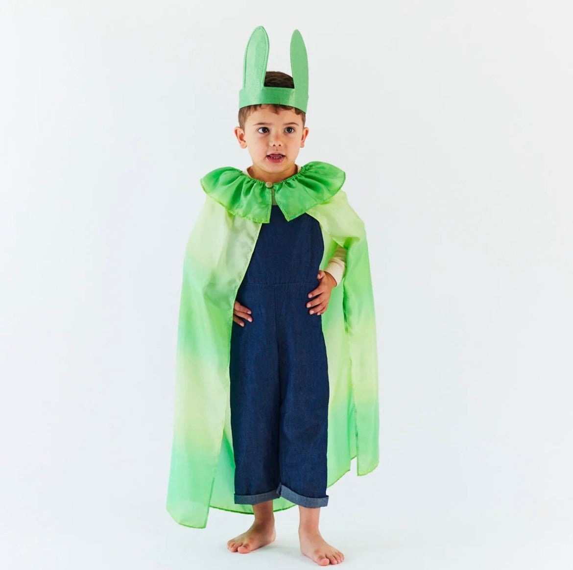 Willow in the Wind Cape