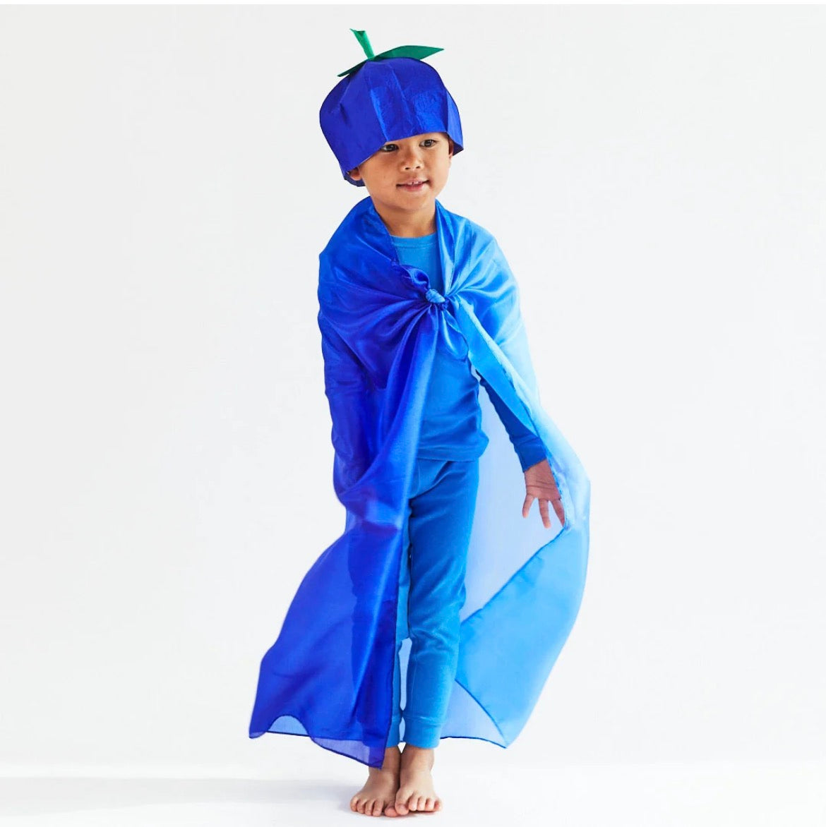 Blueberry Playsilk