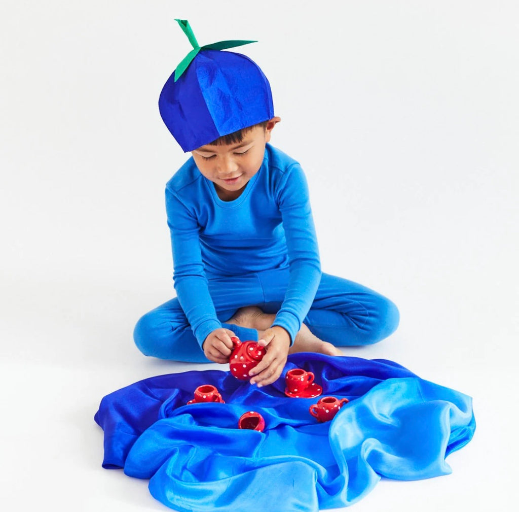 Blueberry Playsilk