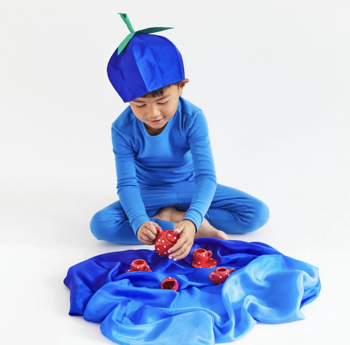 Blueberry Playsilk