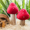 Papoose Toadstool Set of 2