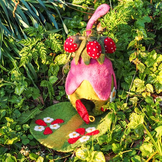 Papoose Strawberry House and Mat
