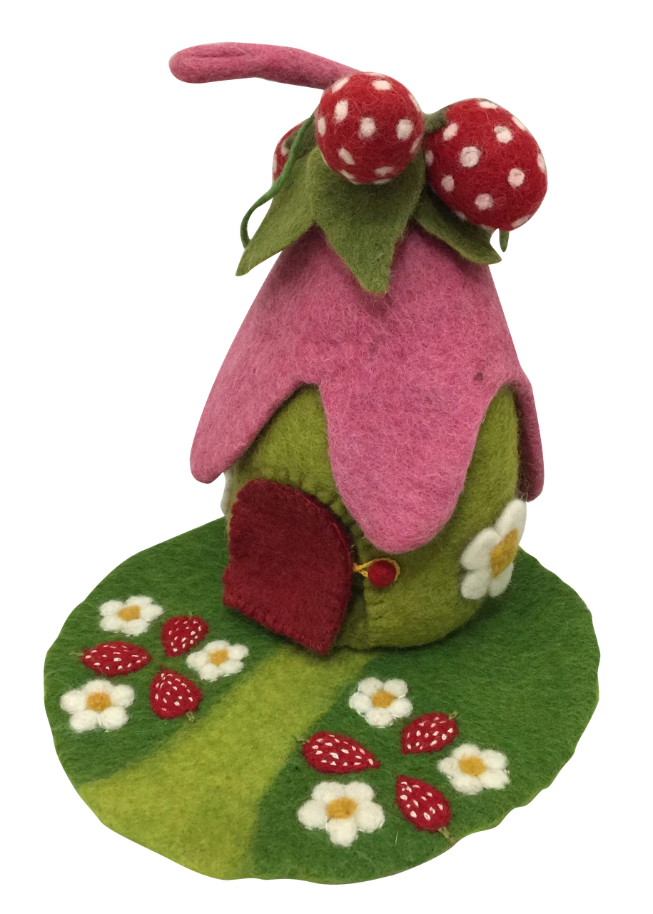 Papoose Strawberry House and Mat