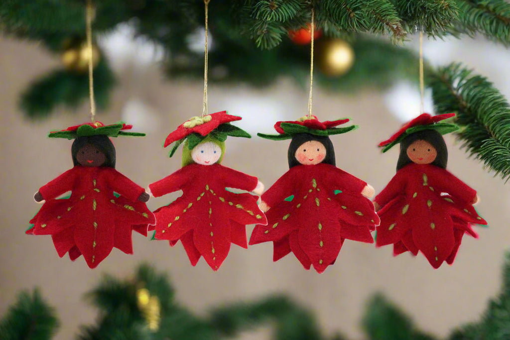 Ambrosius Hanging Poinsettia Princess
