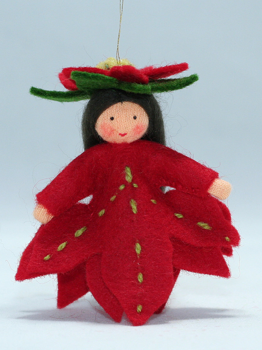 Ambrosius Hanging Poinsettia Princess