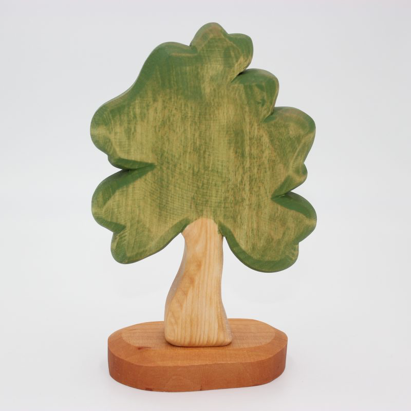 Predan Medium Woody Oak Tree