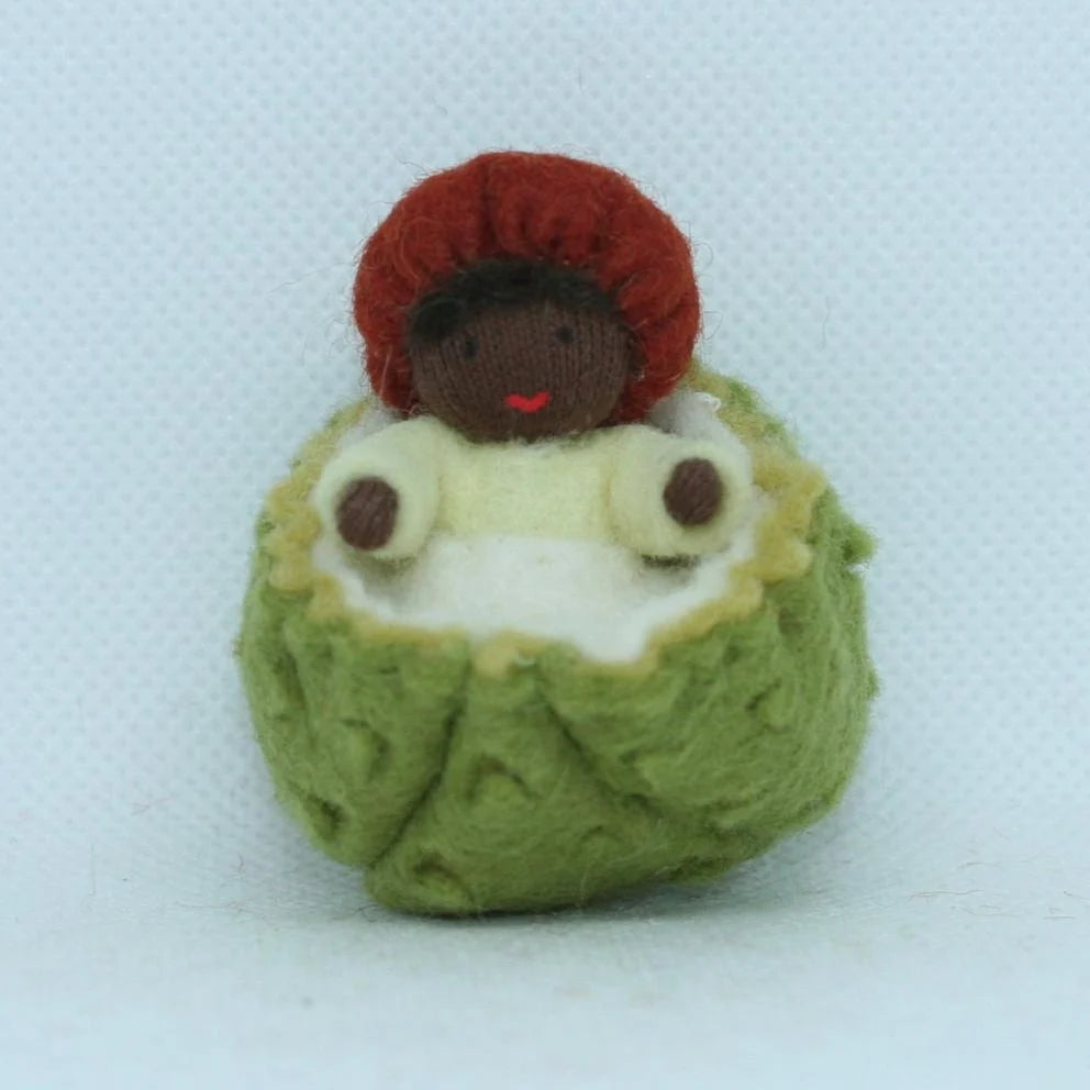Ambrosius Chestnut Fairy Family