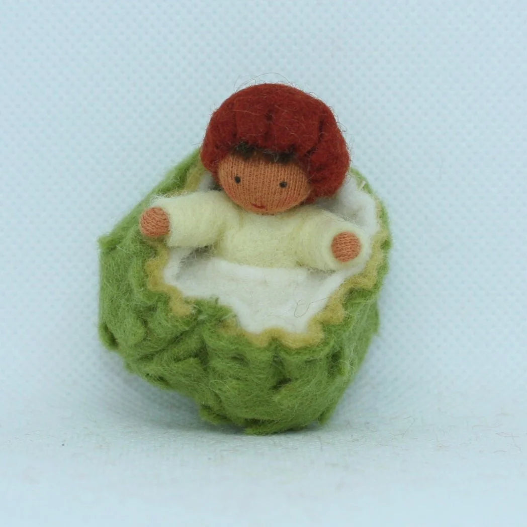 Ambrosius Chestnut Fairy Family